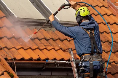 Démoussage et hydrofuge de toiture au Grand-Bourg